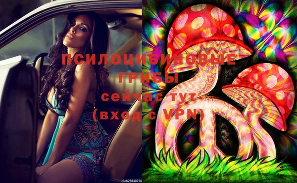 PSILOCYBIN Володарск