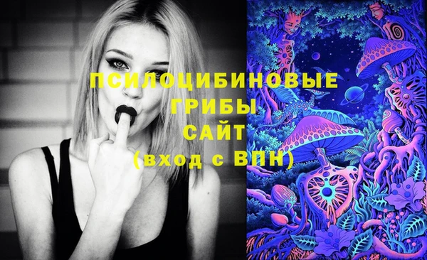 PSILOCYBIN Володарск