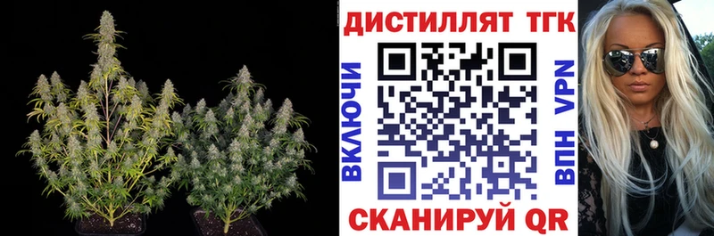 где купить наркоту  Сыктывкар  Дистиллят ТГК THC oil 