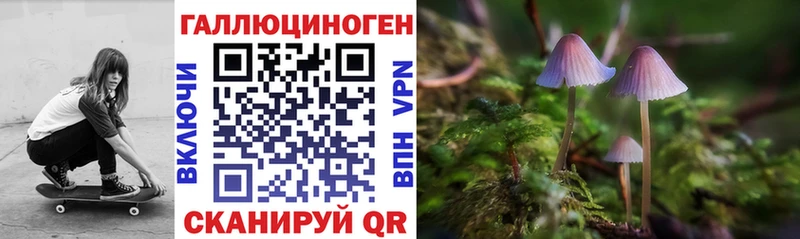 Галлюциногенные грибы мицелий закладки Сыктывкар